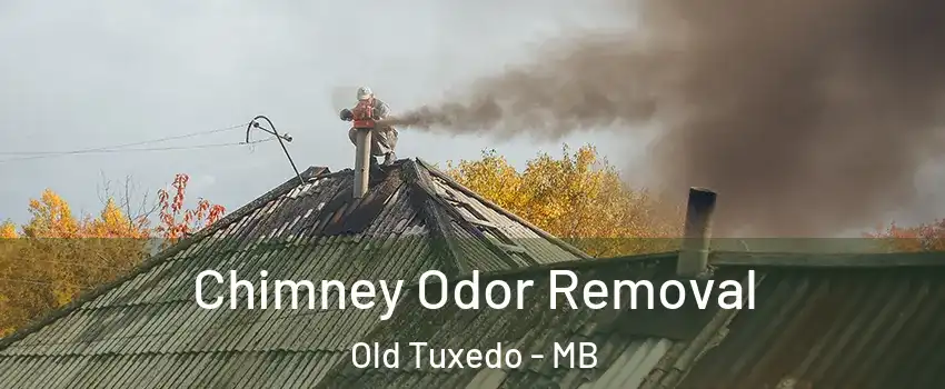  Chimney Odor Removal Old Tuxedo - MB