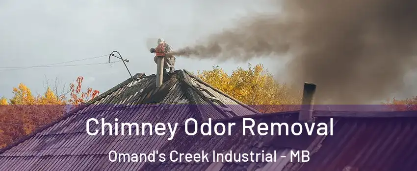  Chimney Odor Removal Omand's Creek Industrial - MB