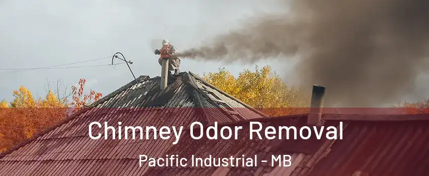  Chimney Odor Removal Pacific Industrial - MB