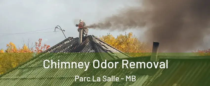  Chimney Odor Removal Parc La Salle - MB