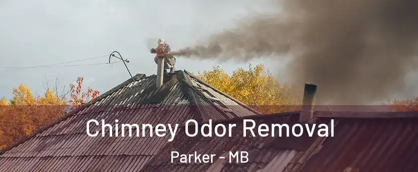  Chimney Odor Removal Parker - MB