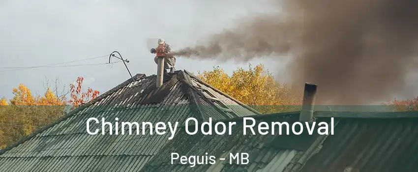  Chimney Odor Removal Peguis - MB