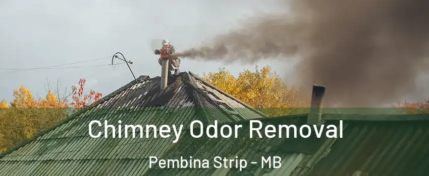  Chimney Odor Removal Pembina Strip - MB