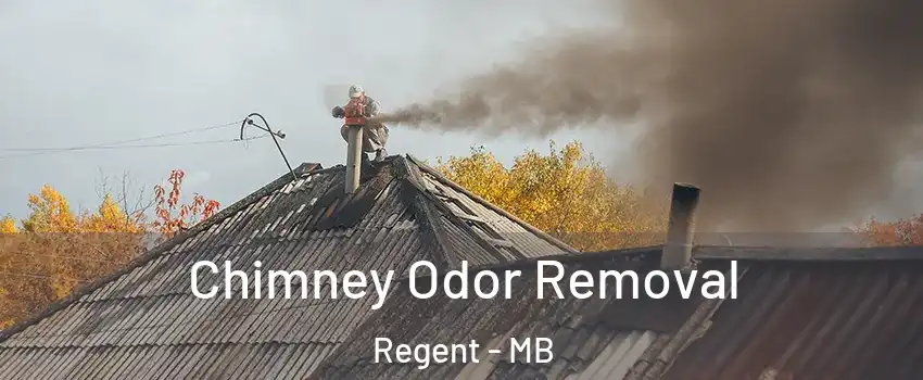  Chimney Odor Removal Regent - MB