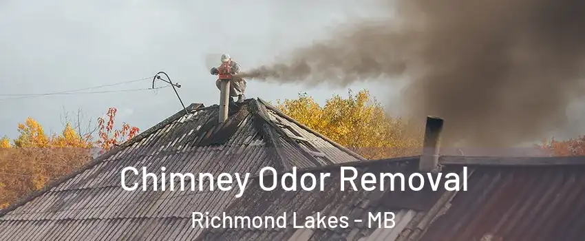  Chimney Odor Removal Richmond Lakes - MB