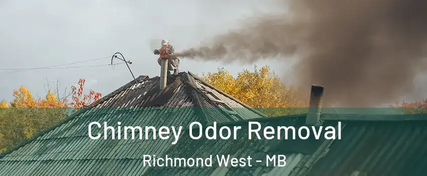  Chimney Odor Removal Richmond West - MB