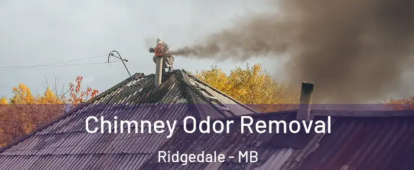  Chimney Odor Removal Ridgedale - MB