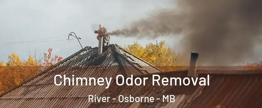  Chimney Odor Removal River - Osborne - MB