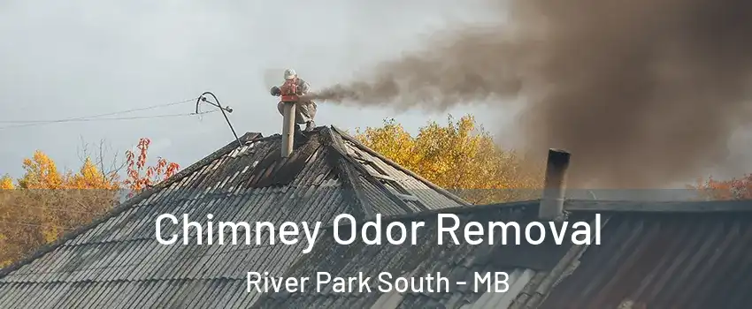  Chimney Odor Removal River Park South - MB