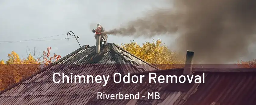  Chimney Odor Removal Riverbend - MB