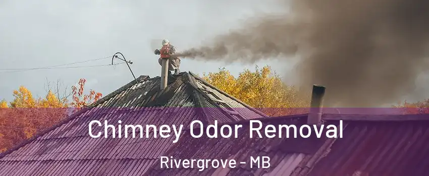  Chimney Odor Removal Rivergrove - MB