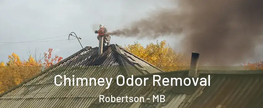  Chimney Odor Removal Robertson - MB