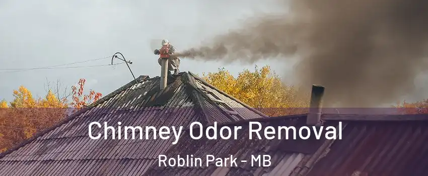 Chimney Odor Removal Roblin Park - MB