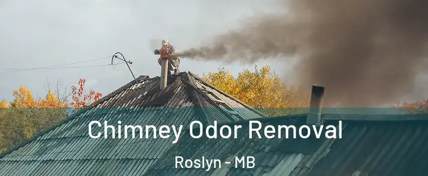  Chimney Odor Removal Roslyn - MB