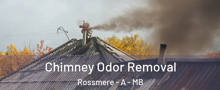 Chimney Odor Removal Rossmere - A - MB
