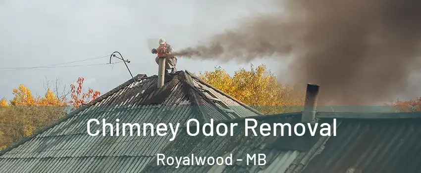 Chimney Odor Removal Royalwood - MB