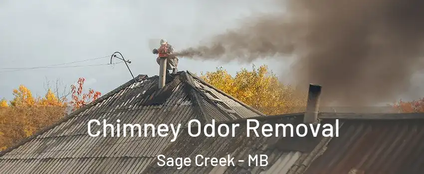  Chimney Odor Removal Sage Creek - MB