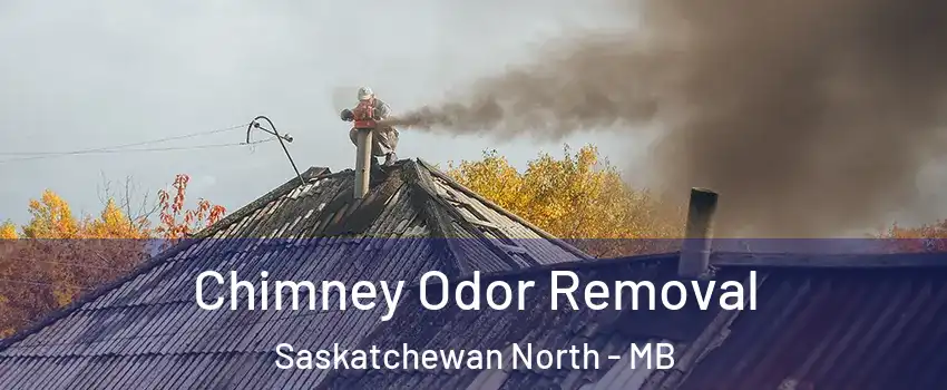  Chimney Odor Removal Saskatchewan North - MB