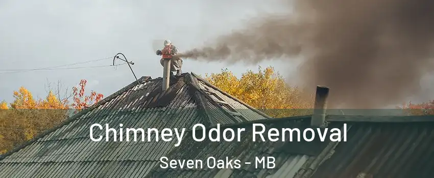  Chimney Odor Removal Seven Oaks - MB