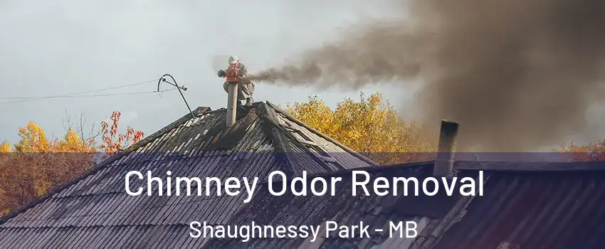  Chimney Odor Removal Shaughnessy Park - MB