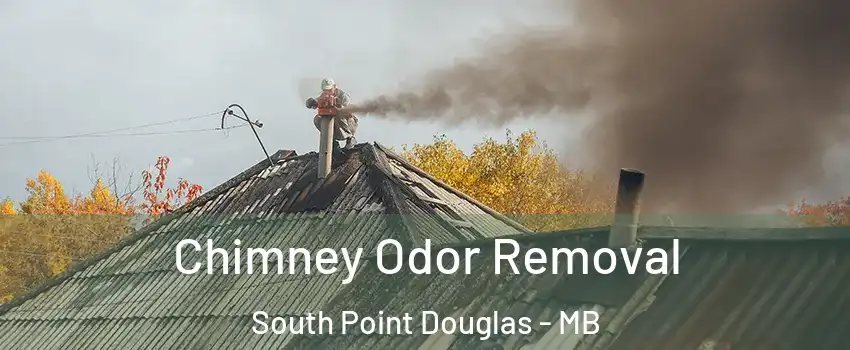  Chimney Odor Removal South Point Douglas - MB