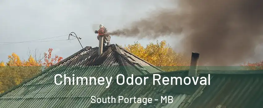  Chimney Odor Removal South Portage - MB
