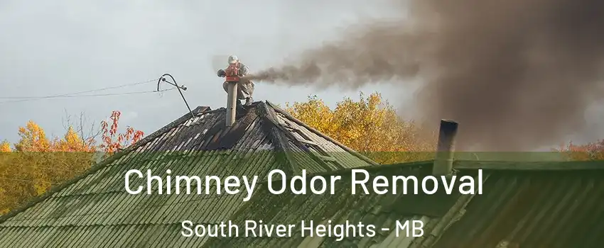 Chimney Odor Removal South River Heights - MB