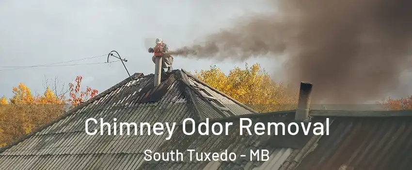  Chimney Odor Removal South Tuxedo - MB