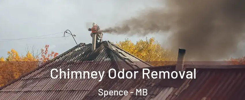  Chimney Odor Removal Spence - MB