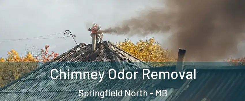  Chimney Odor Removal Springfield North - MB