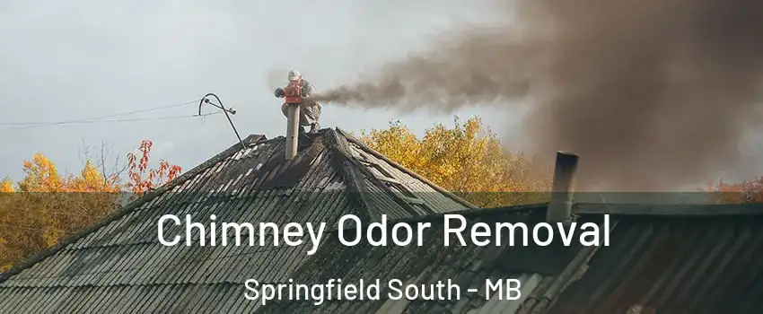  Chimney Odor Removal Springfield South - MB