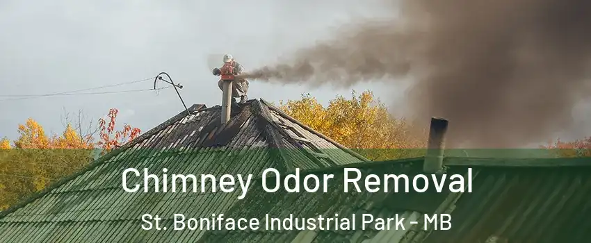  Chimney Odor Removal St. Boniface Industrial Park - MB