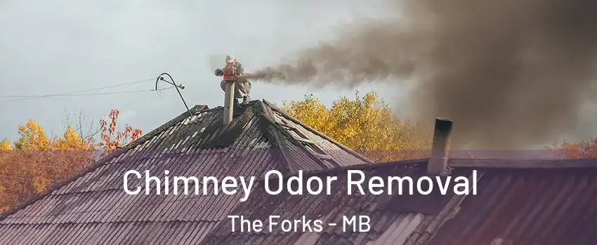  Chimney Odor Removal The Forks - MB