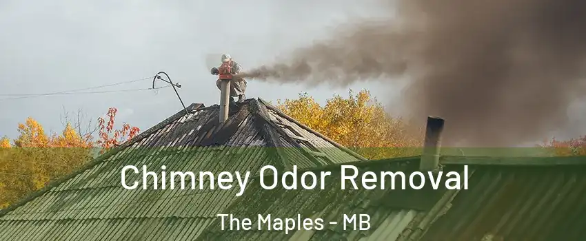  Chimney Odor Removal The Maples - MB