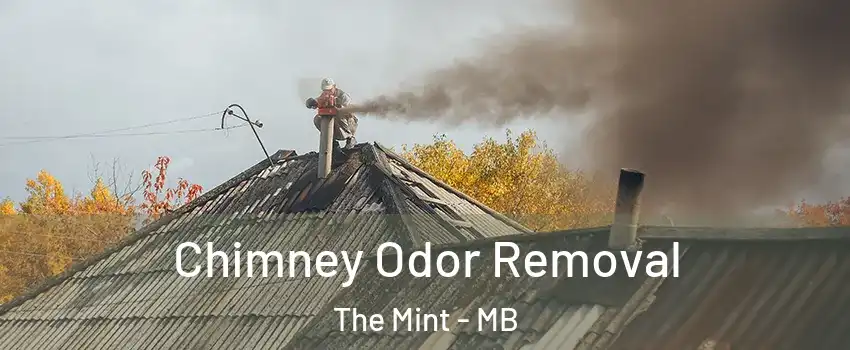  Chimney Odor Removal The Mint - MB