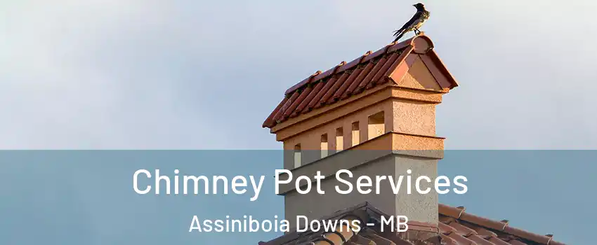  Chimney Pot Services Assiniboia Downs - MB