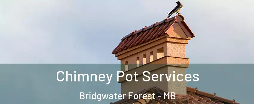  Chimney Pot Services Bridgwater Forest - MB