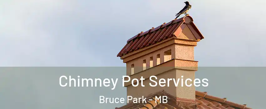  Chimney Pot Services Bruce Park - MB