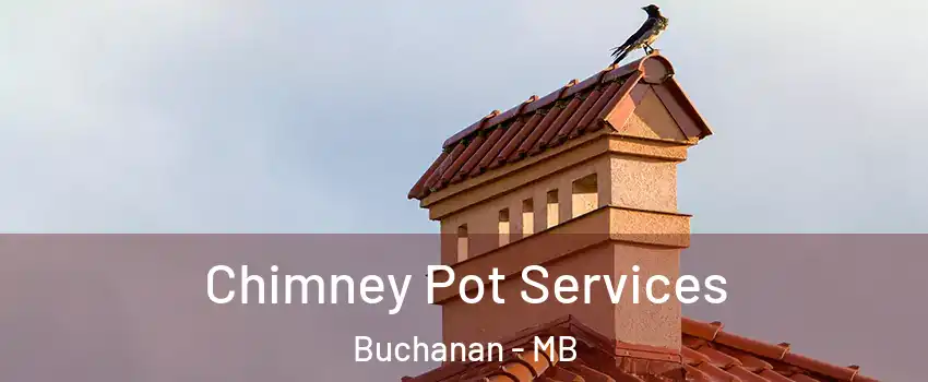  Chimney Pot Services Buchanan - MB