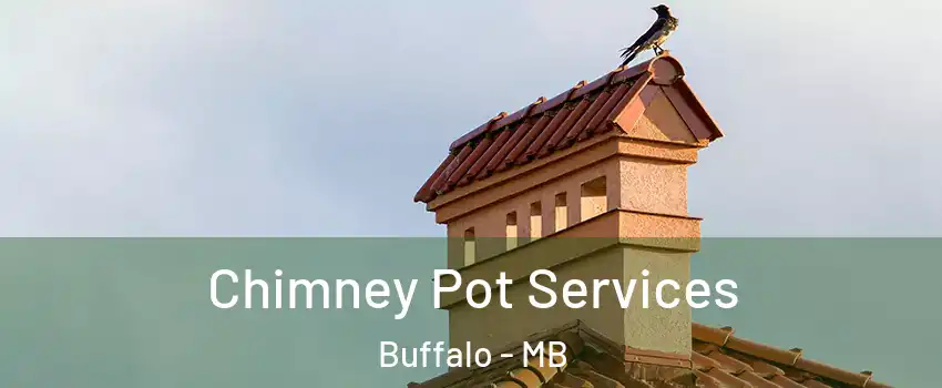  Chimney Pot Services Buffalo - MB