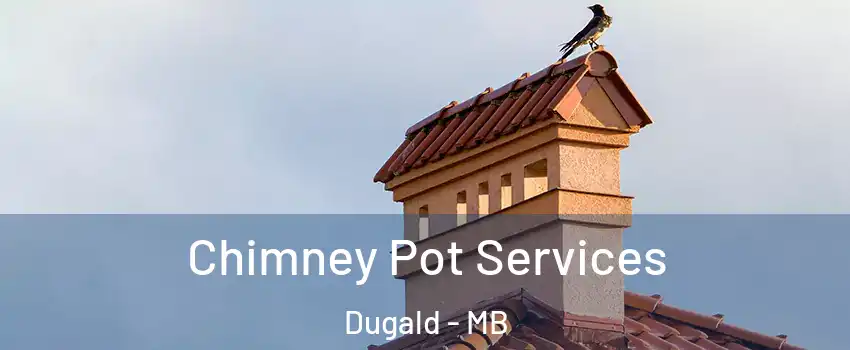  Chimney Pot Services Dugald - MB