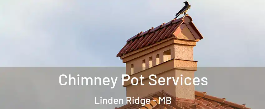  Chimney Pot Services Linden Ridge - MB