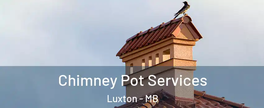  Chimney Pot Services Luxton - MB