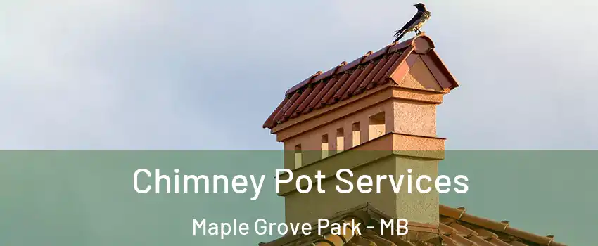  Chimney Pot Services Maple Grove Park - MB