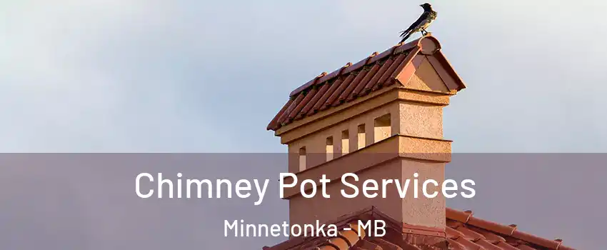  Chimney Pot Services Minnetonka - MB