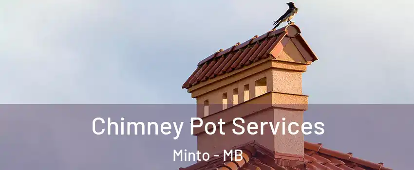  Chimney Pot Services Minto - MB