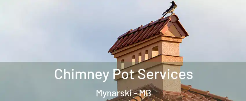  Chimney Pot Services Mynarski - MB