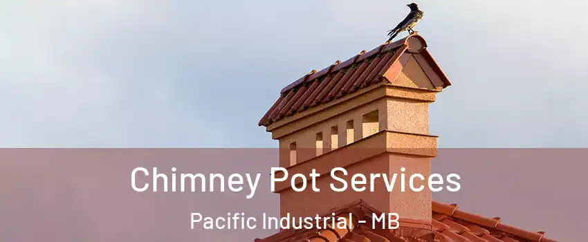  Chimney Pot Services Pacific Industrial - MB