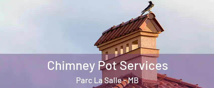  Chimney Pot Services Parc La Salle - MB