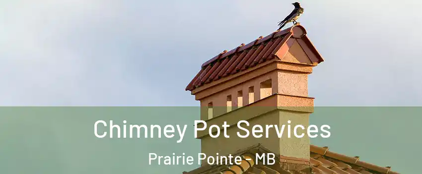  Chimney Pot Services Prairie Pointe - MB